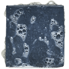 Promotional graphic for Dr. Squatch Thousand Sword Scrub bar soap