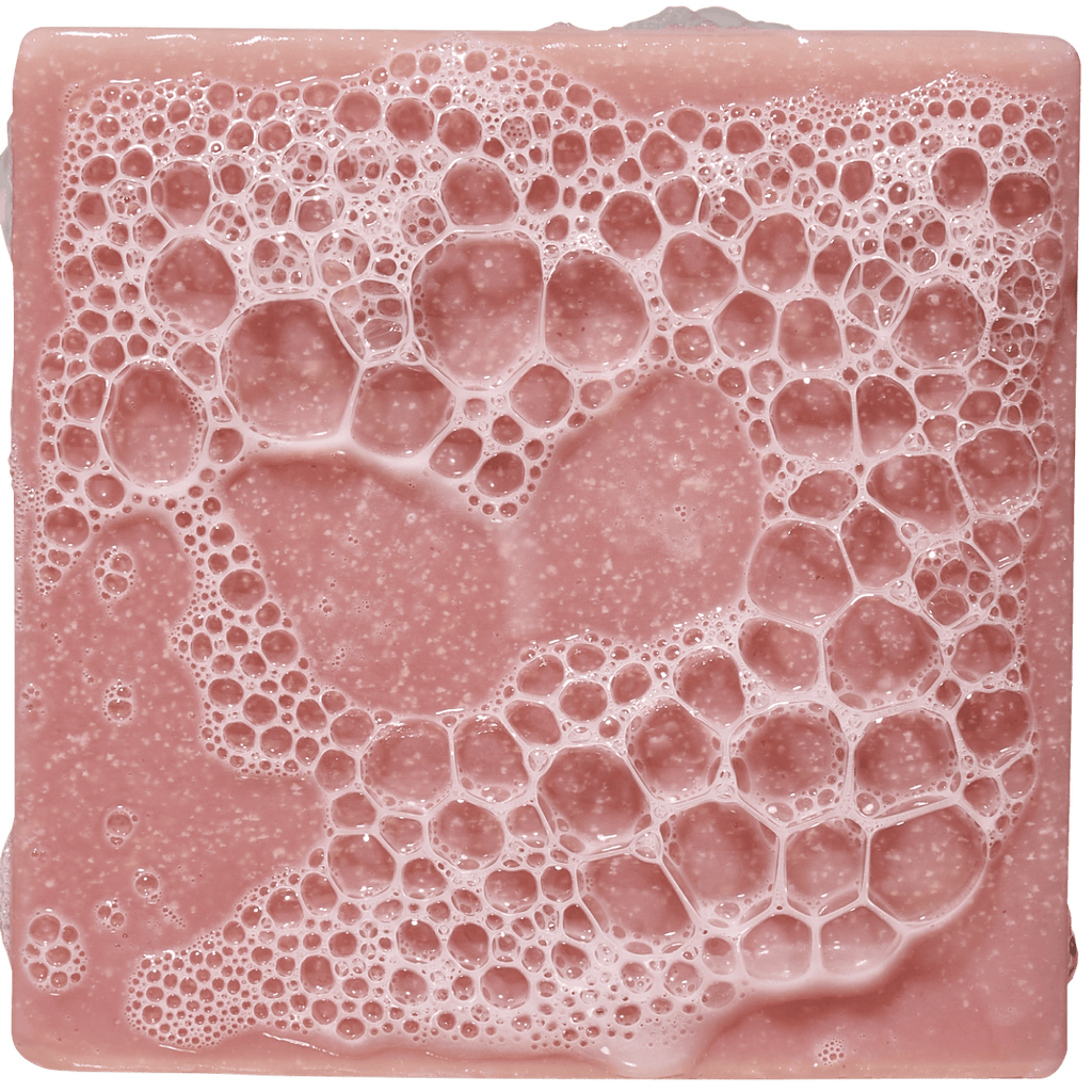 Sea Star Shenanigans - Fresh Routine
